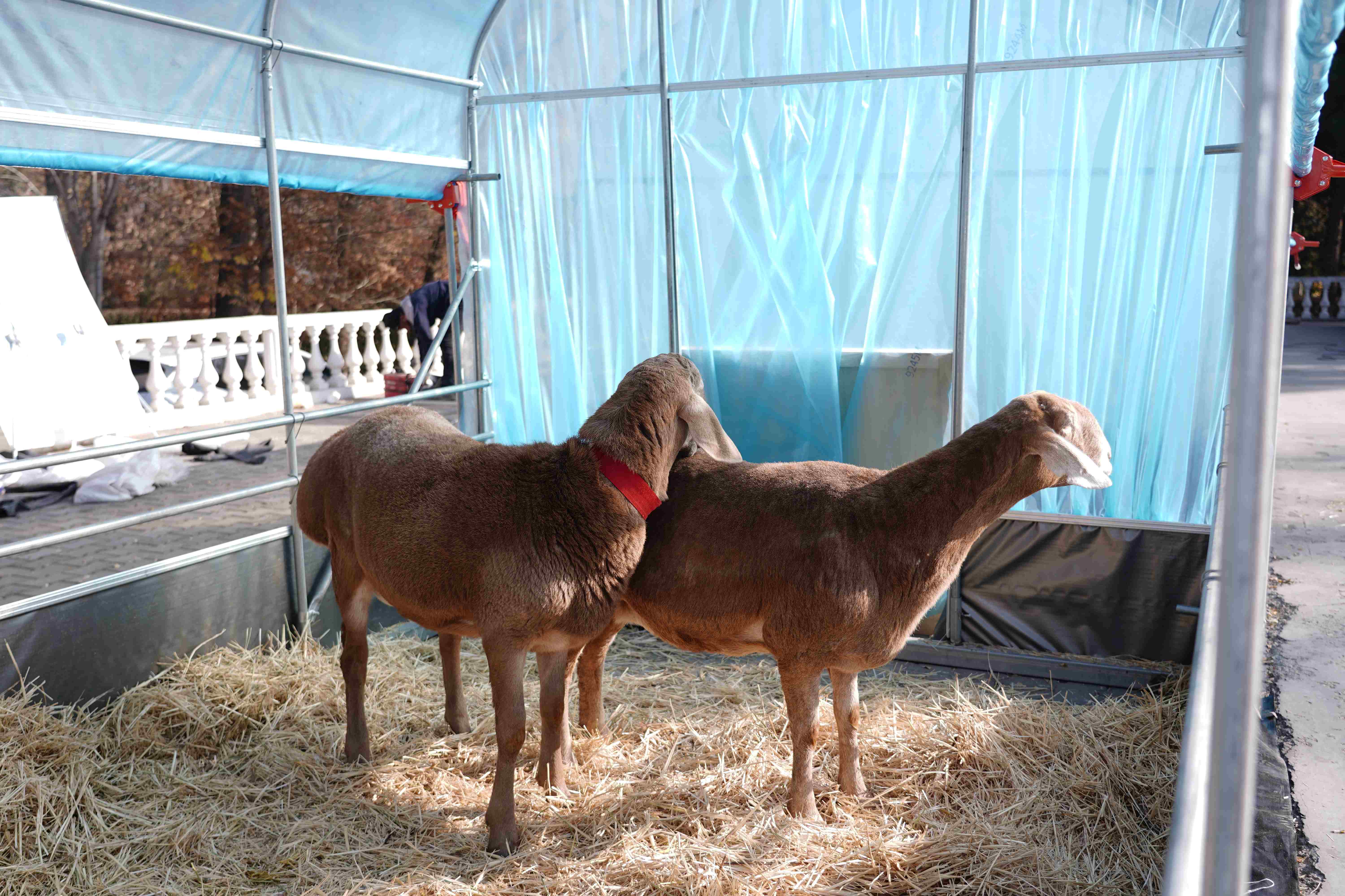 <span  class="uc_style_uc_tiles_grid_image_elementor_uc_items_attribute_title" style="color:#ffffff;">DSC04186</span>