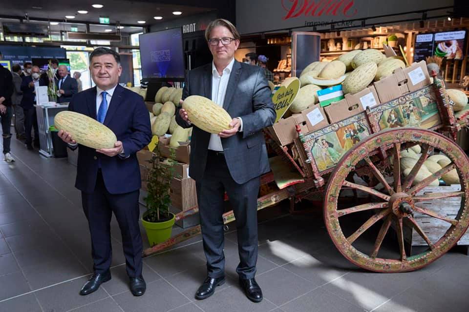 Узбекские дыни достигли Германии. | AgroExpoUzbekistan / Agrotech Expo
