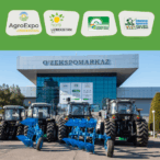 Kopie von Kopie von POLAND NATIONAL PAVILION